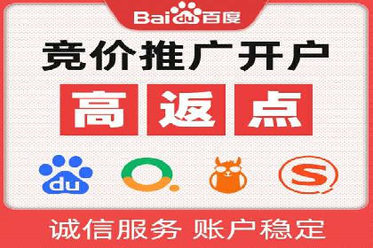 竞价排名的投放策略与效果评估案例